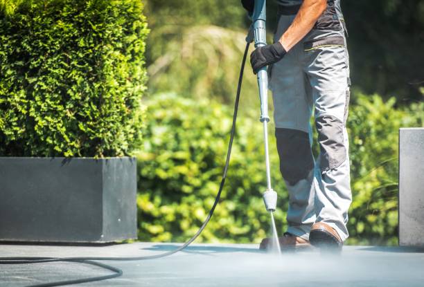Best Solar Panel Cleaning  in Chattahoochee, FL